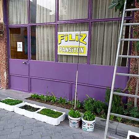 Hotel Filiz *